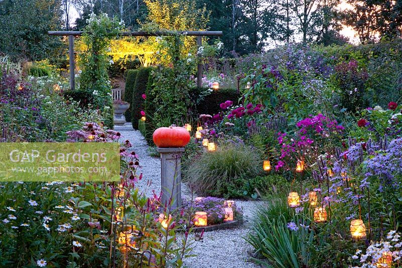 Garden with lighting 