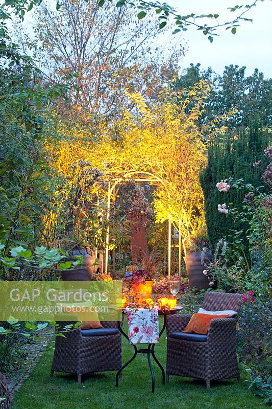 Illuminated garden in autumn 