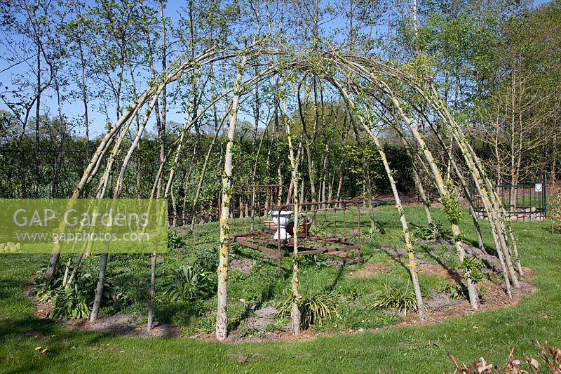 Willow arbor in spring 