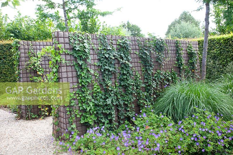 Structural steel mesh with ivy 