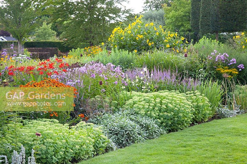 Bed in July, Sedum Herbstfreude, Phlox paniculata, Crocosmia, Helenium Sahins Early Flowerer 