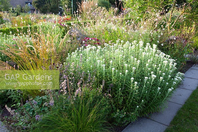 Small perennial bed 