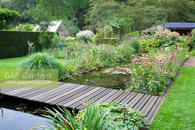 Pond in late summer 