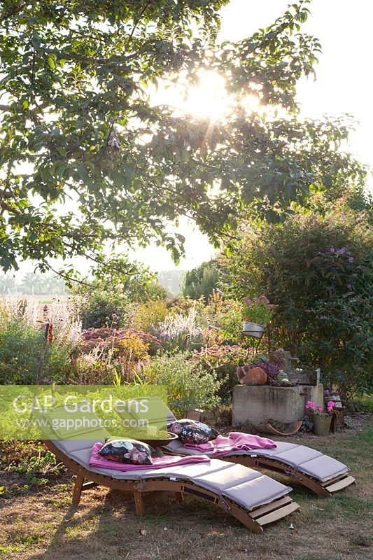 Sun loungers in the garden 