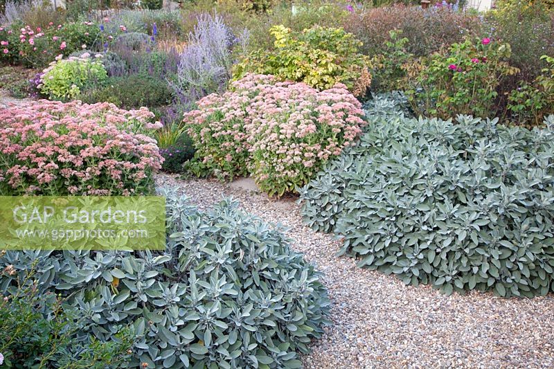 Perennial bed in late summer 