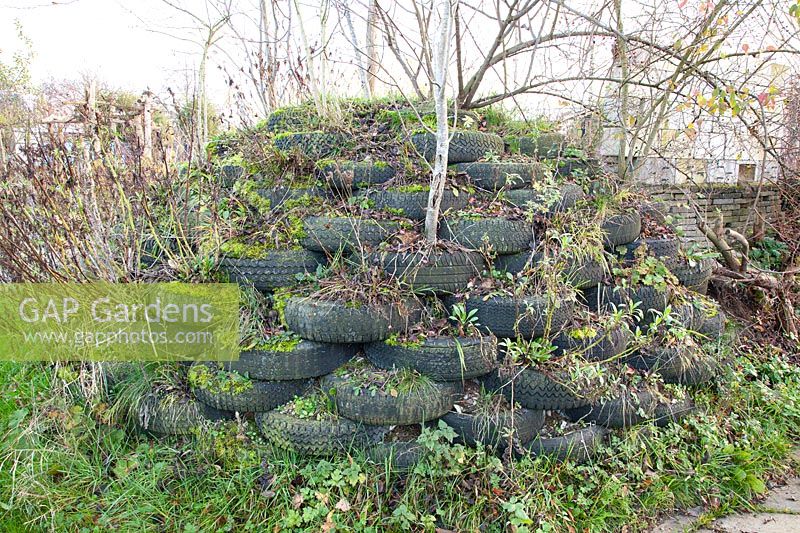 Raised bed made of stacked car tires 