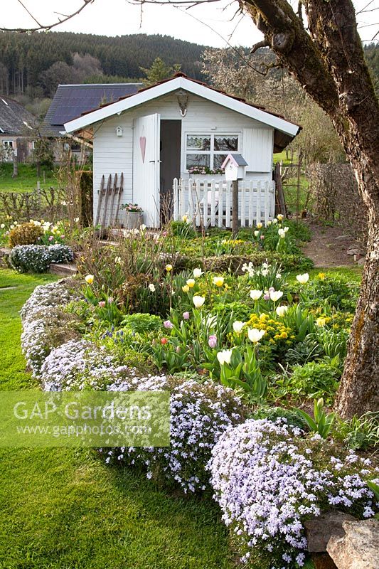 Spring bed at the garden house, Phlox subulata 