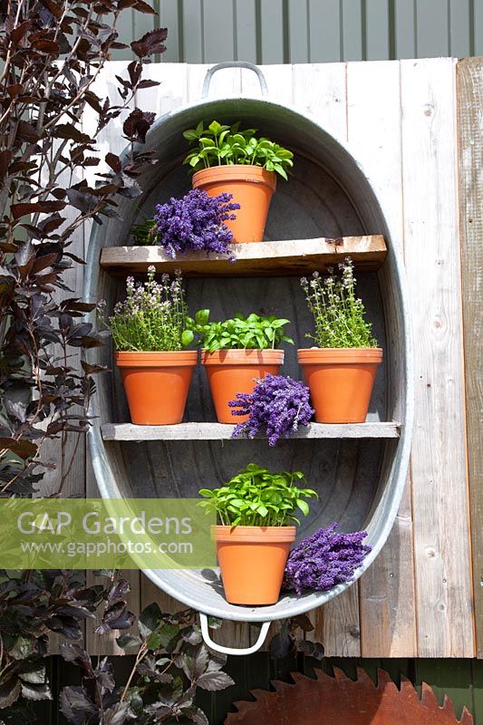 Old zinc tub as a shelf for herbs 