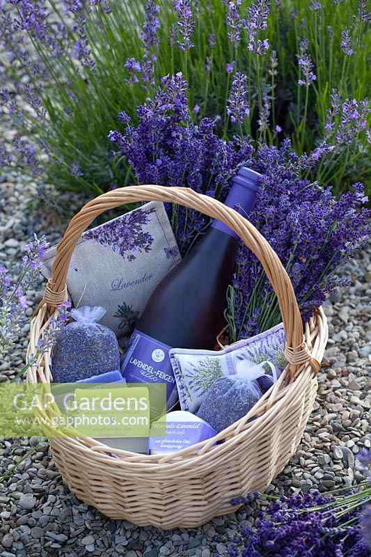 Stillife with lavender products, lavender secco, lavender soaps, scented sachets 