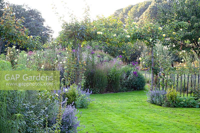 Country garden in late summer 