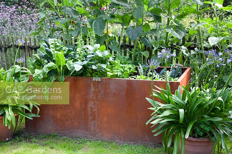 Raised bed made of Corten steel with vegetables 
