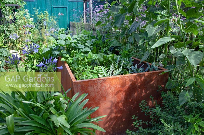 Raised Bed from Corten Steel with Vegetables, Raised Bed from Corten Steel with Vegetables 