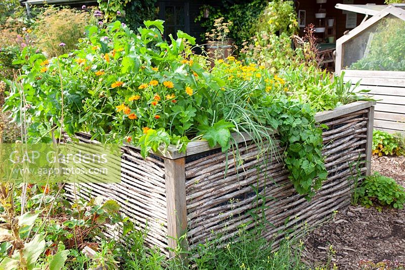 Raised bed with herbs 