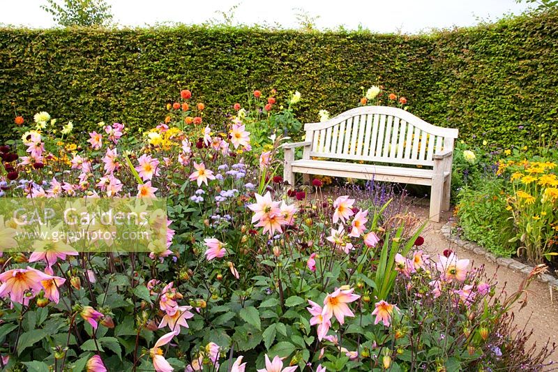 Seating at the dahlia bed 