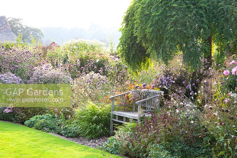 Bed in September with seating under the pagoda tree, Sophora japonica Pendula 