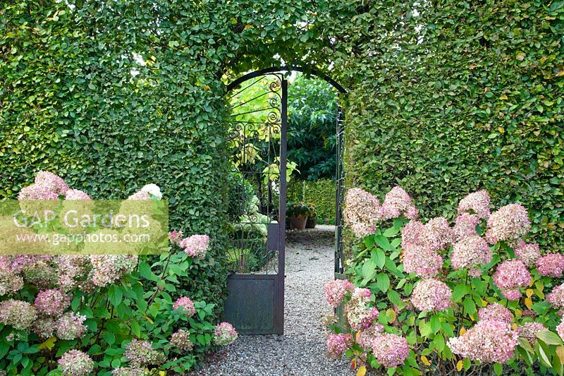 View through the garden gate 