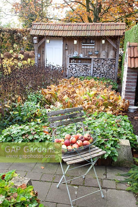 Country house garden in November 