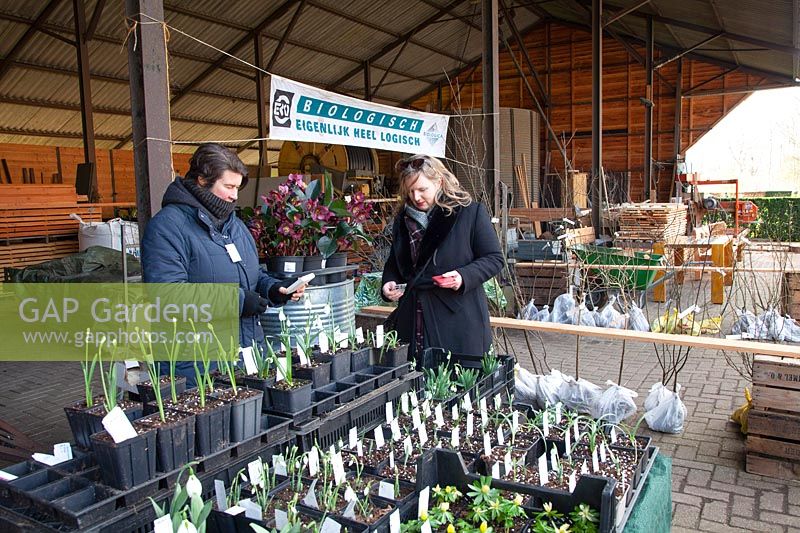 Snowdrop Festival De Boschhoeve 