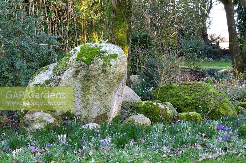 Boulders in the garden 