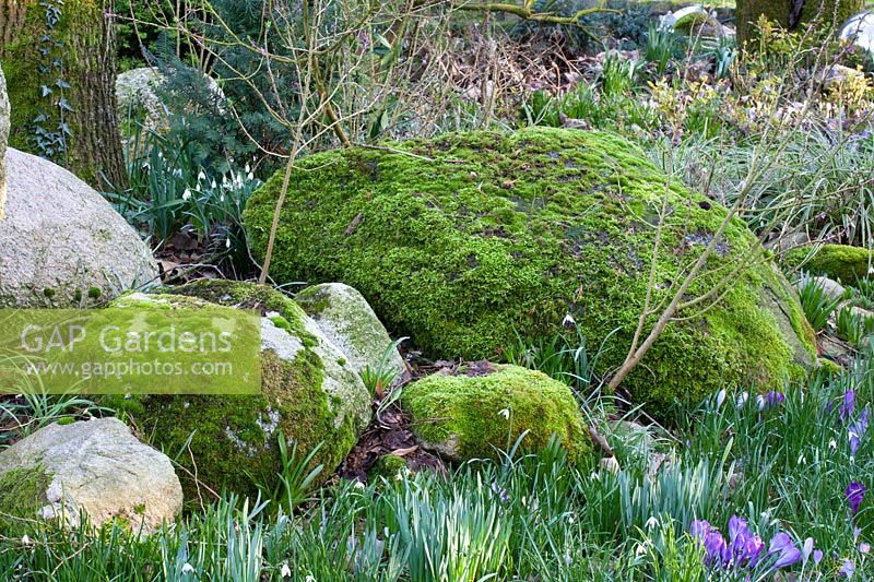 Boulders in the garden 