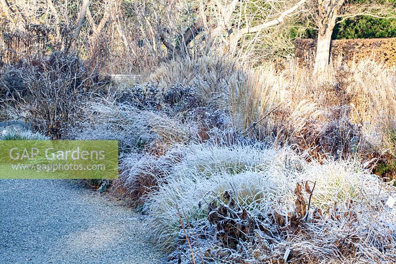 Winter bed with frost 