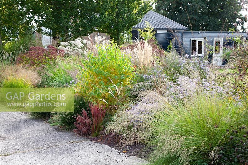 Bed with grasses and perennials in September 