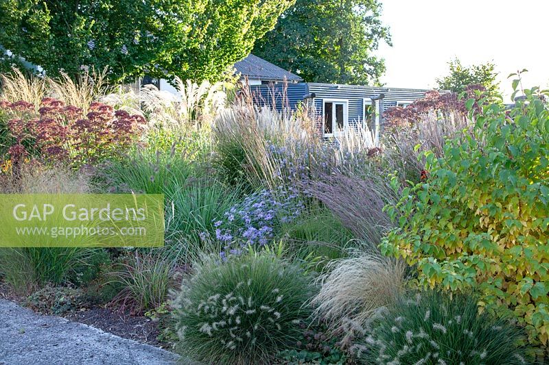 Bed with grasses and perennials in September 