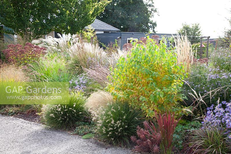 Bed with grasses and perennials in September 