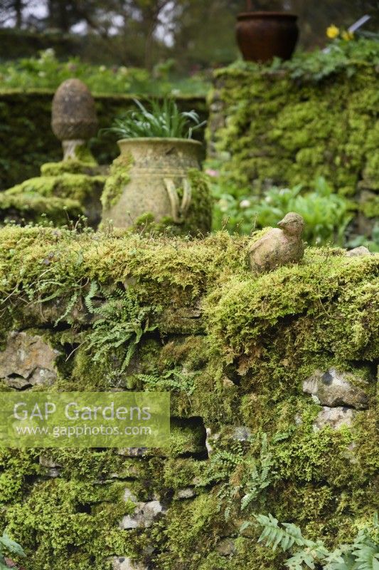 Mossy stone wall with clay bird at Cerney House Gardens in March