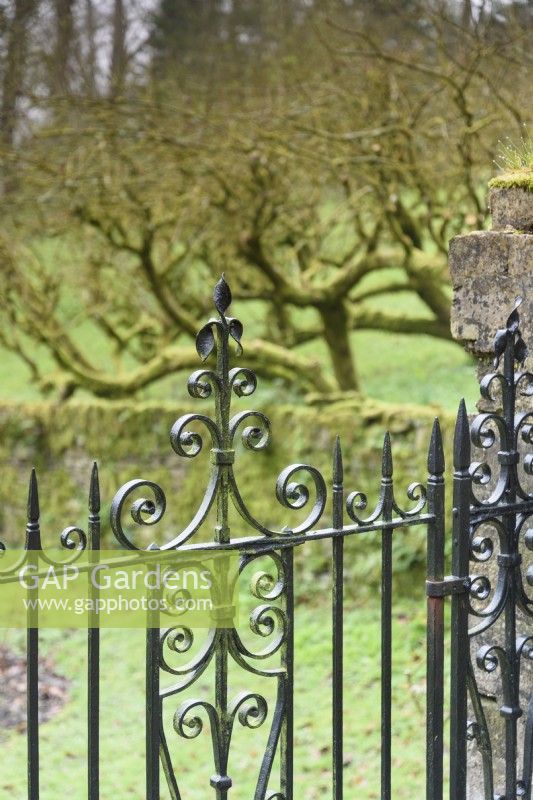 Metal gate in the walled garden at Cerney House in March