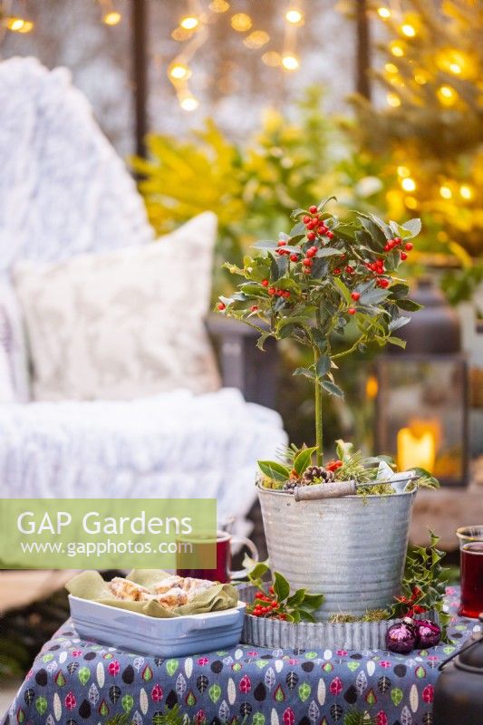 Small Holly planted in a metal bucket on a small table with drinks and food