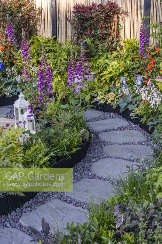 A stone and gravel path surrounded by beds planted with Digitalis purpurea, ferns and hostas. Designer: Darragh Collopy, Bord Bia Bloom 2023 