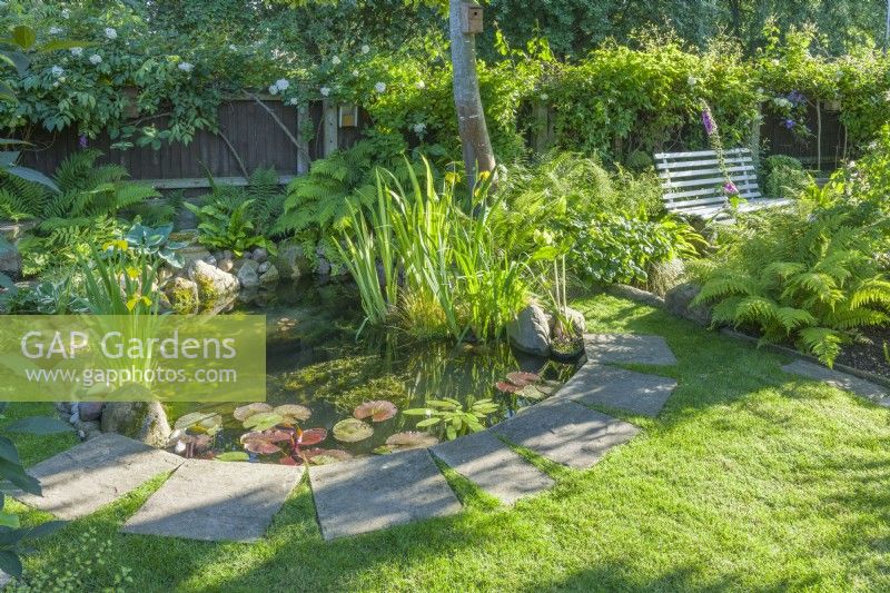 Small wildlife pond with water lilies and water irises. Paving stones used to form a firm neat edge to the lawn. Large rocks in shallow areas to help amphibians. June.