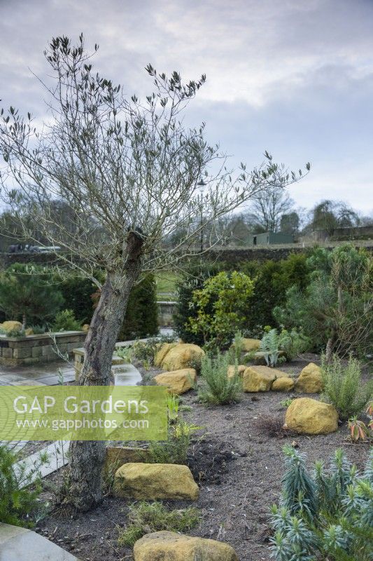 The Sunken Garden at York Gate in February