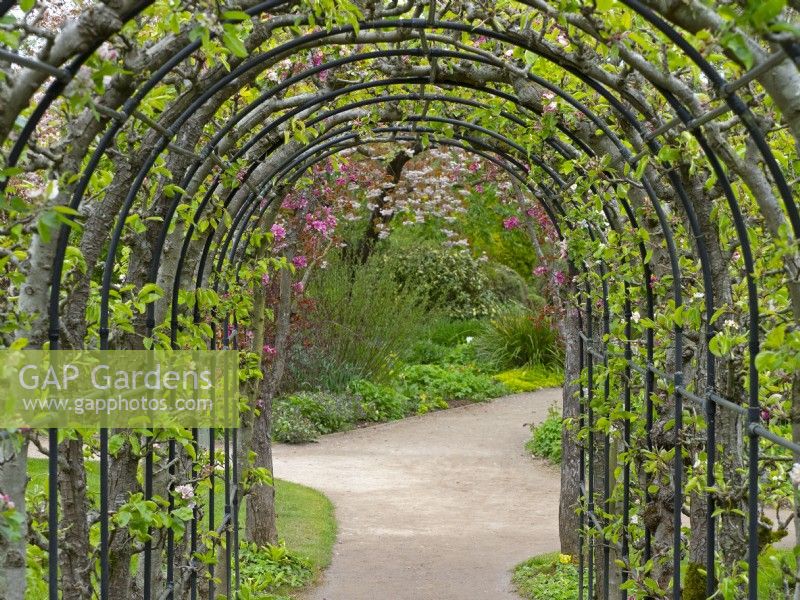Apple Arch at Barnsdale Gardens, April