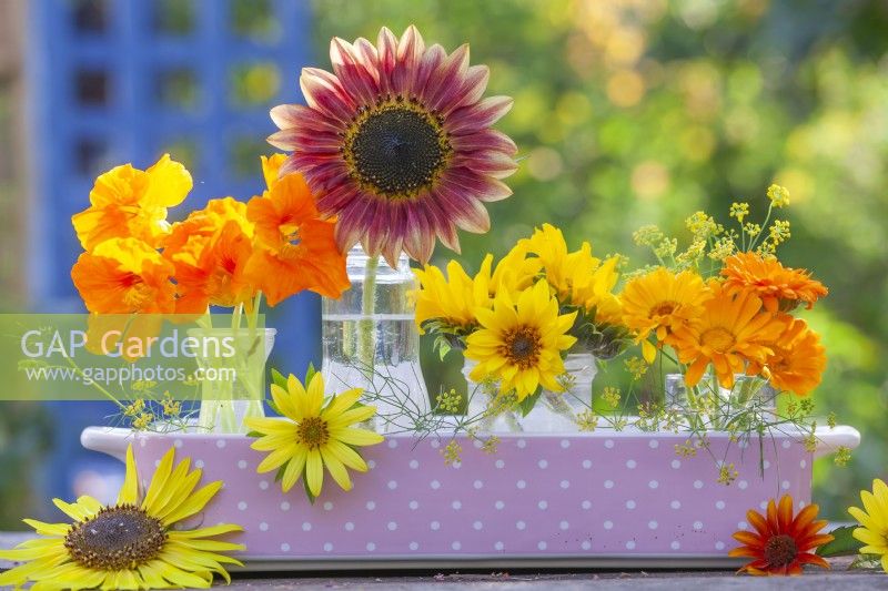 Flower display of nasturtium, sunflowers and pot marigold in glass jars and vases.