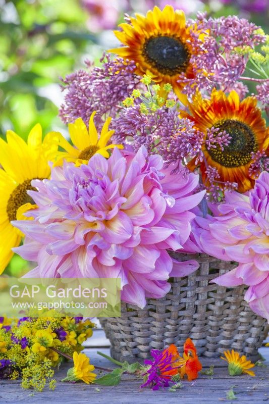 Summer flower arrangement with dahlias, eupatorium and sunflowers.