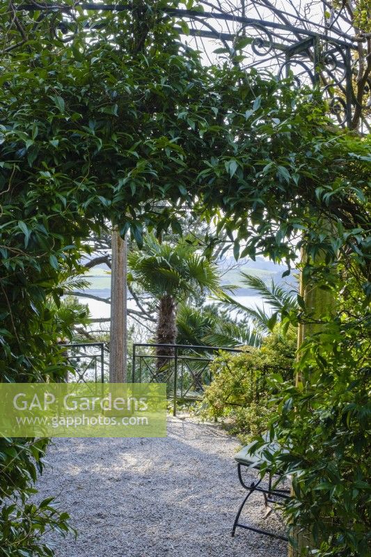 Trachelospermum jasminoides grows around the entrance to a classical style temple with a view towards the St Mawes Harbour