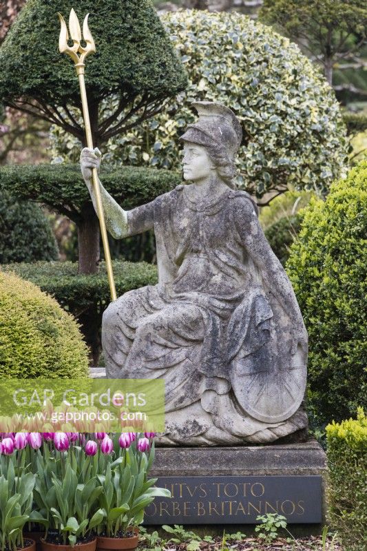 Statue of Britannia with latin inscription and terracotta pots with tulips. Topiary of Yew behind. April. Spring. 