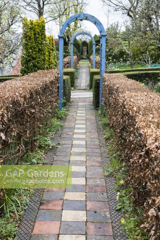 Paved path with hedges of Beech and blue painted wooden arches. 