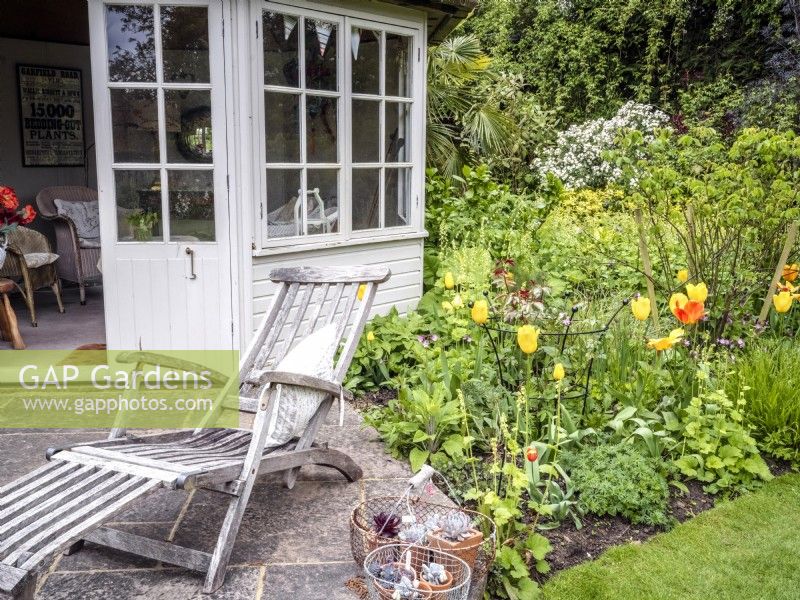 Country garden summerhouse and patio with lounger and terracotta succlent pots next to a mixed border featuring Tulipa 'Sunny Prince' and spring foliage