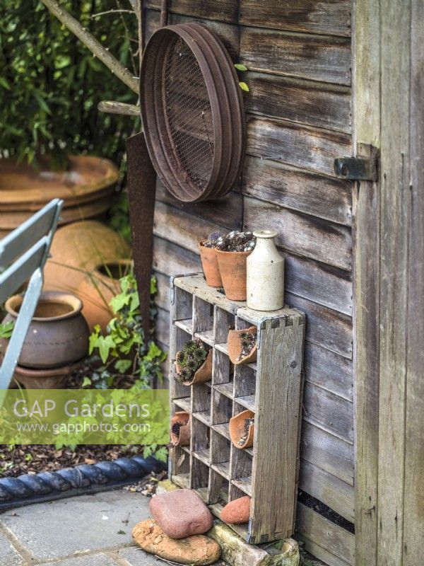Garden shed with a collection of old gardening tools and display of terracotta pots planted with small succulents