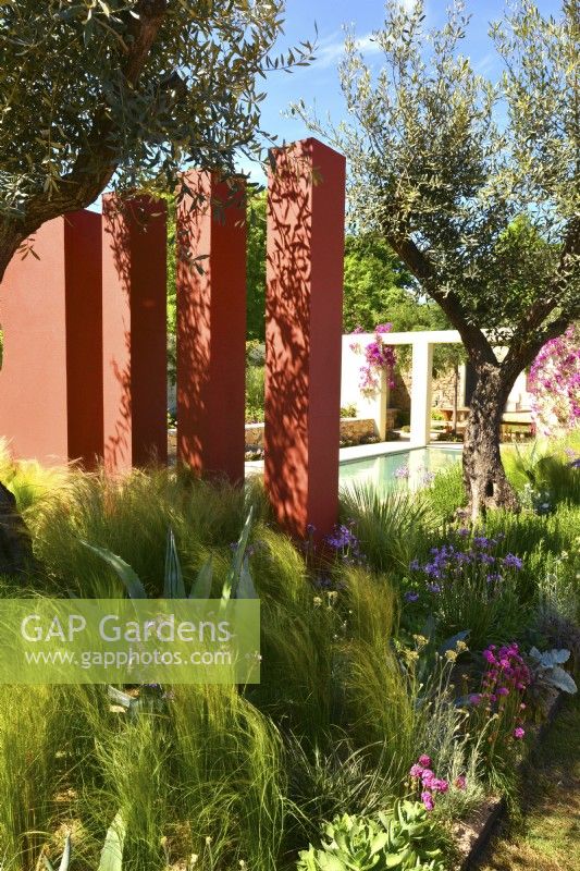 View of Mediterranean garden with a orange compartment pillars underplanting with Stipa tenuissima and  large trees of Olive. June
Designer - Alan Rudden