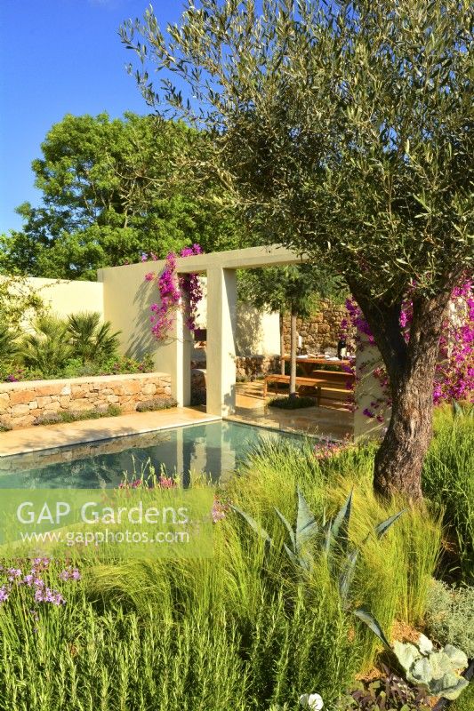 View across patio and large pool in Mediterranean garden. June
Designer: Alan Rudden
