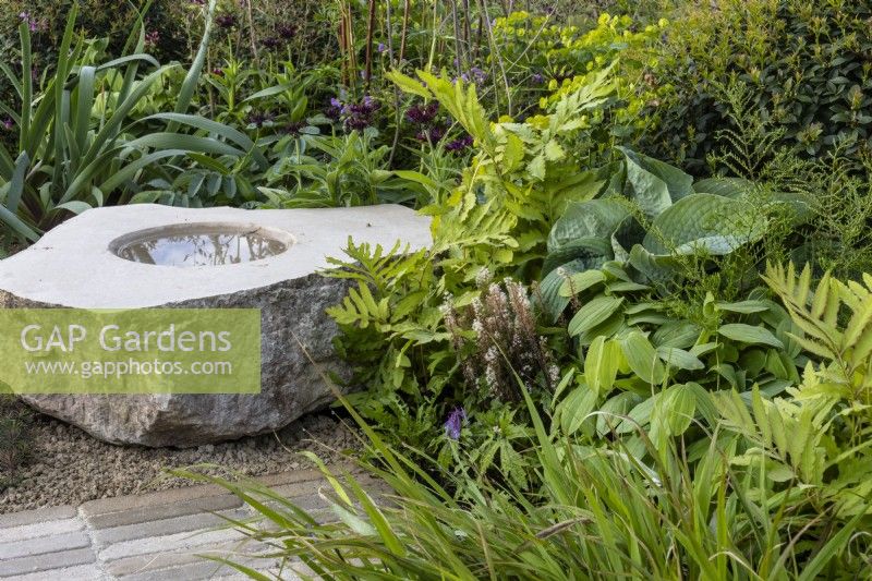 Stone bird bath surrounded by planting including ferns and hostas - 'It Doesn't Have to Cost the Earth' - designer Michael Lote - RHS Malvern Spring Festival 2024