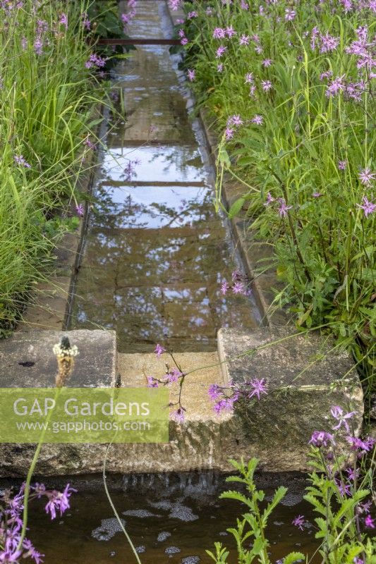 Cotswold stone rill with small fall running through wildflowers including Lychnis flos-cuculi - 'The Cotswold Garden' - designer Mark Draper Graduate Gardeners - RHS Malvern Spring Festival 2024