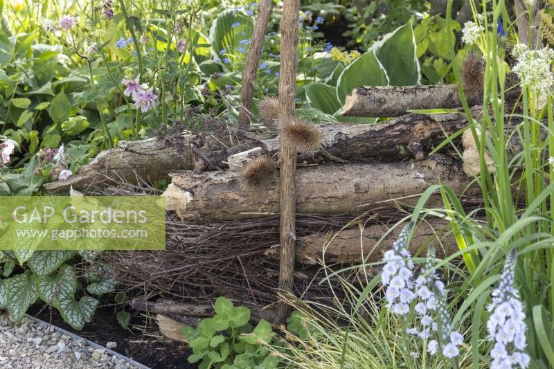 Branches and twigs used as wildlife habitat inserted into flower beds - 'The Macmillan Legacy Garden' - designers Kerianne Fitzpatrick and TJ Kennedy - RHS Malvern Spring Festival 2024