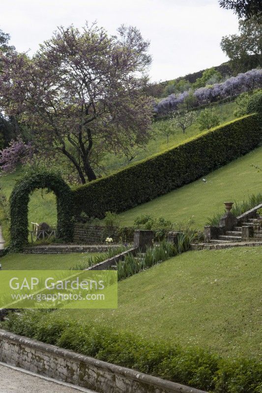 The Baroque staircase and terraces, with lawned slopes. A clipped hedge with arch runs up the hill behind the staircase. Bardini Gardens, Florence, Italy. Spring, April. 