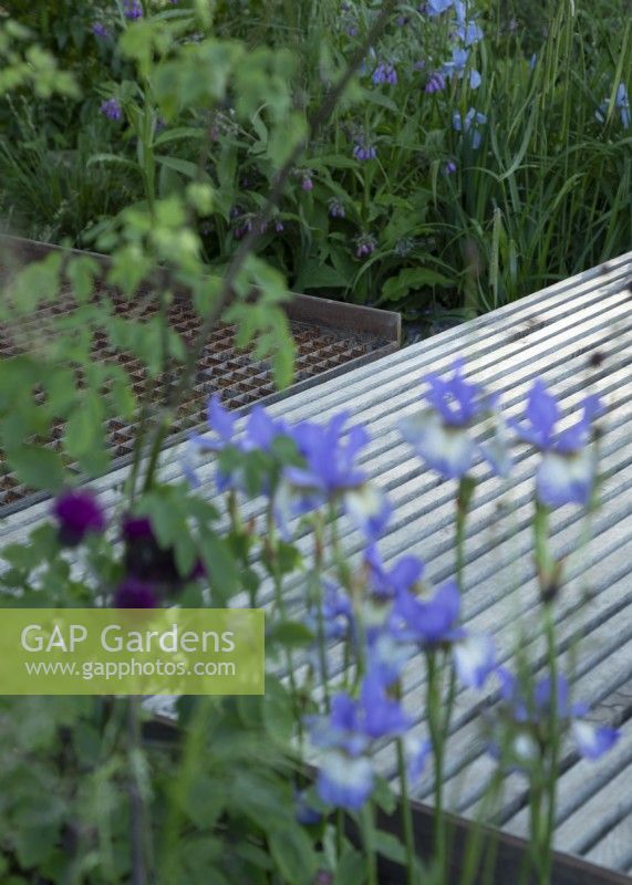 Water permeable grid steel and slatted oak decks, junction detail, with flood resillient planting. The WaterAid Garden at RHS Chelsea Flower Show 2024. Gold Medal. Designers: Tom Massey and Je Ahn.