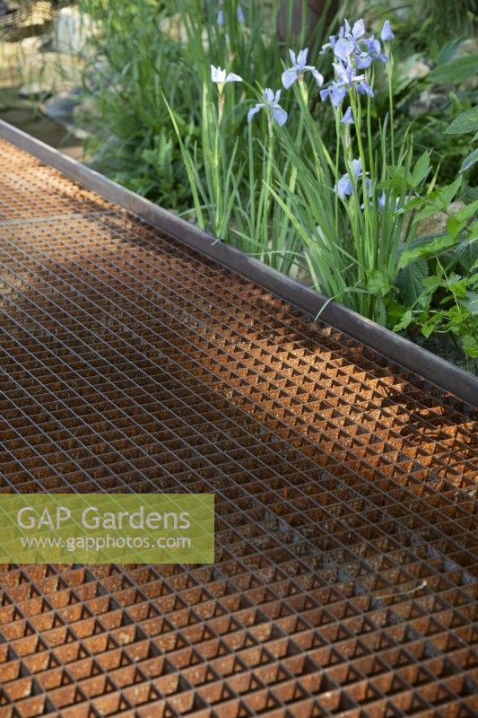 Water permeable grid steel deck, with flood resillient planting including Iris sibirica 'Perry's Blue'. The WaterAid Garden at RHS Chelsea Flower Show 2024. Gold Medal. Designers: Tom Massey and Je Ahn.